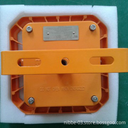 LED explosionproof light bulbs